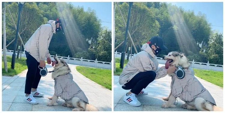 Autumn Winter Clothes Coat for Pets and Owner Mating Dogs and Women Clothes Owner Clothes Low MOQ Customize