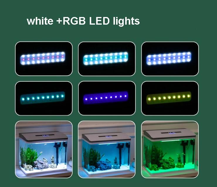 New 55L Glass Aquarium Tank with Light and Top Filter