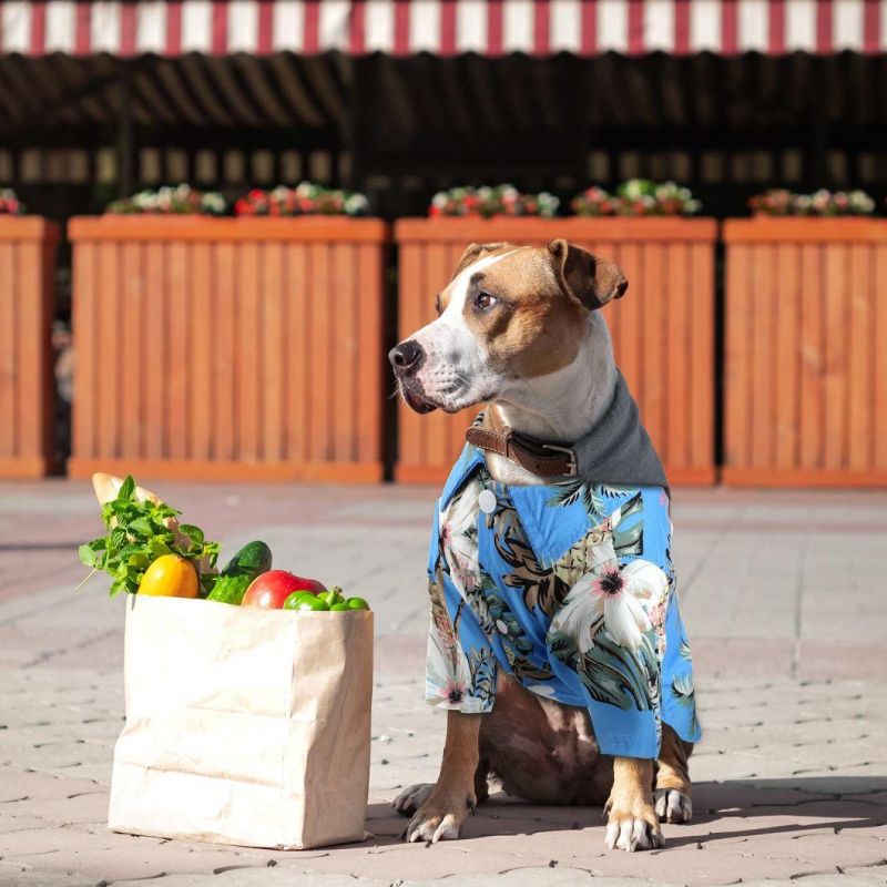 Pet Summer T-Shirts Hawaii Style Beach Seaside Floral Dog Shirt
