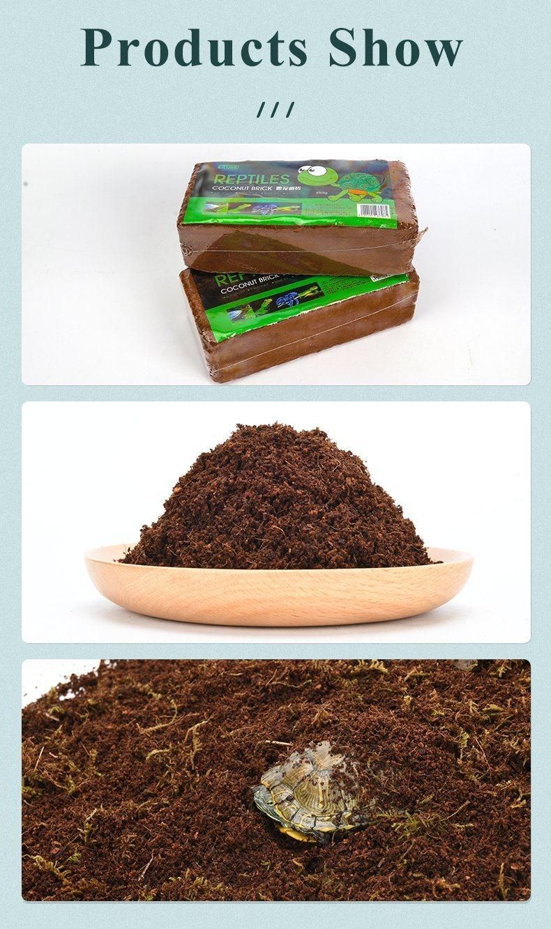 Yee Reptile Hibernation Warm Sand Nature Sand Pet Supplies