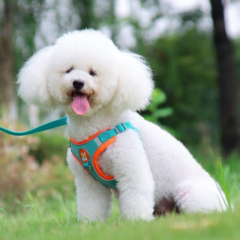 New Reflective Dog Harness for Small Dogs and Cat Escape Proof Pet Harness Set