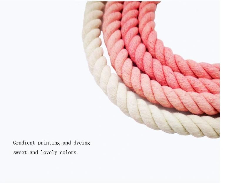 Hand-Woven Rainbow Gradient Color Double-Headed Dog Leash Multifunctional Dog Leash