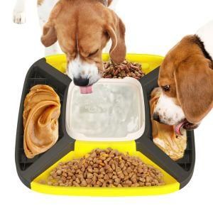 Yellow Dog Drinking Water and Eating Co-Existence of Multi-Functional Bowl