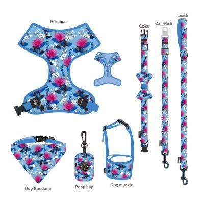 Manufacturer Wholesale Eco-Friendly Organic Polyester Nylon Dog Collar Harness with Leash Set