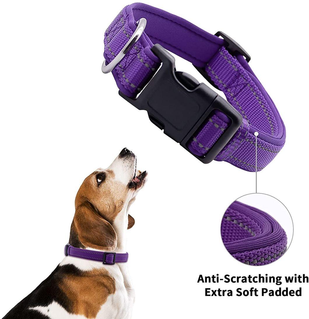 Nylon Dog Collar and Leash Set Soft Handle with Padded