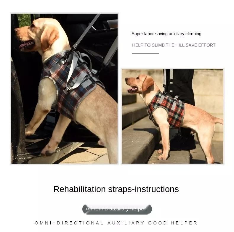 Custom Dogs Balance Support Dog Hind Legs Auxiliary Belt for Recovery Disability