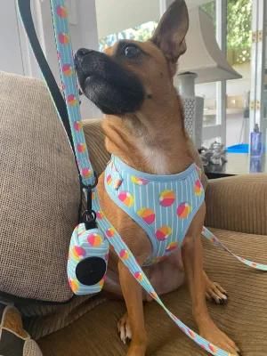 Customized All Kinds of Designs Factory Small Order Dog Harness