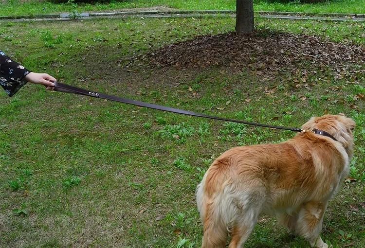 Luxury and Durable Pet Waterproof Soft Pet Leash for Sale
