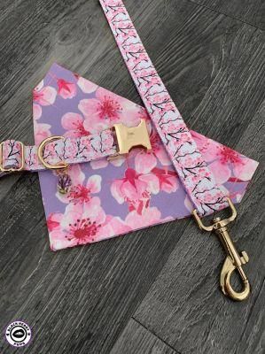 Basic Classic Padded Quick Release Adjustable Pet Dog Collars for Small/Medium/Large-Dogs with Metal Buckle