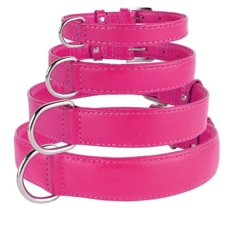PU Leather Dog Collar with Durable Steel D-Ring and Metal Buckle with Multiple Colors