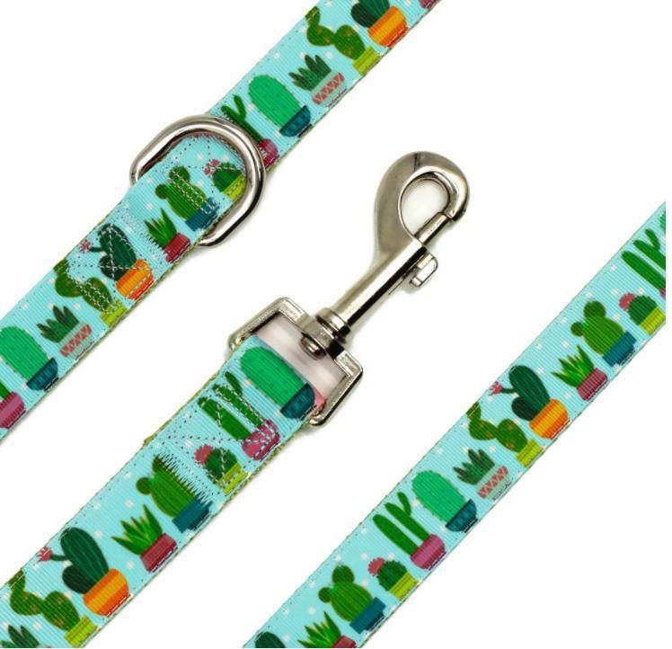 Sublimation Printed Soft Padding Pet Leash for Small, Medium, Large Dogs