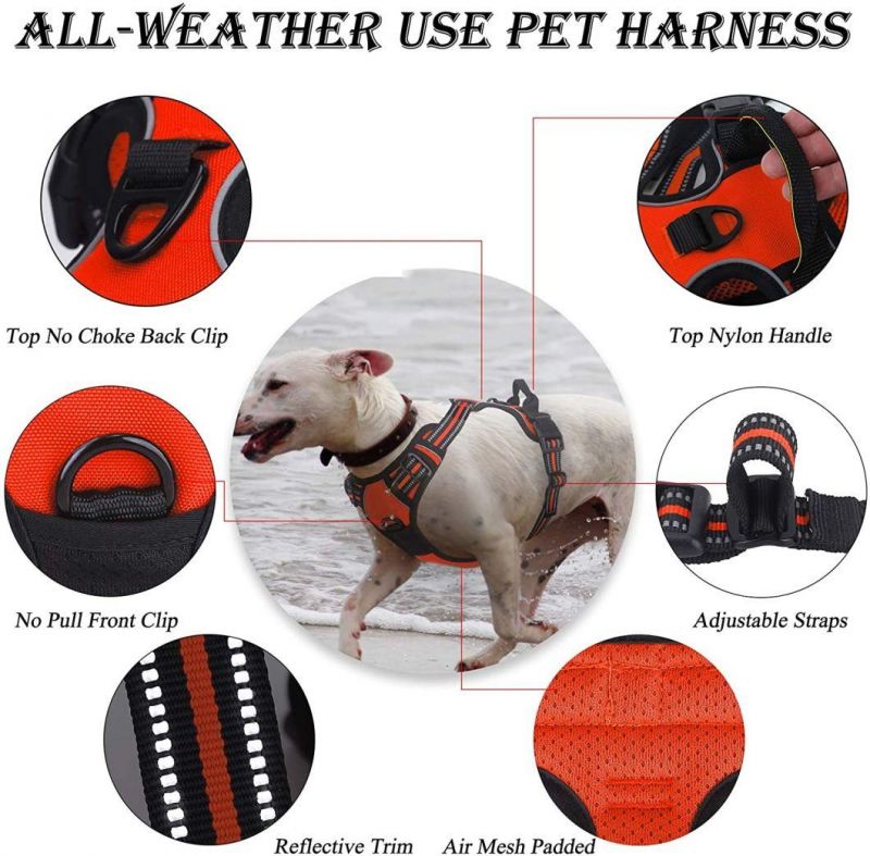 Easy Control Handle for Outdoor Walking Training Pet Harness
