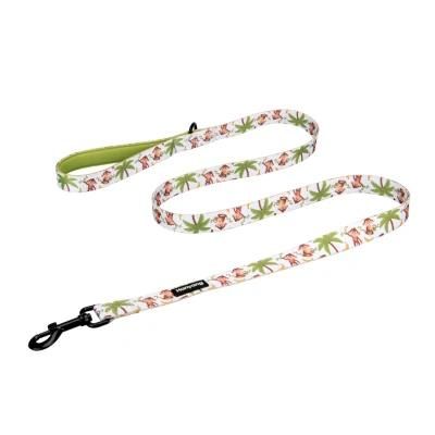 New Release OEM Manufacturer Customized Dog Leash Dog Accessories