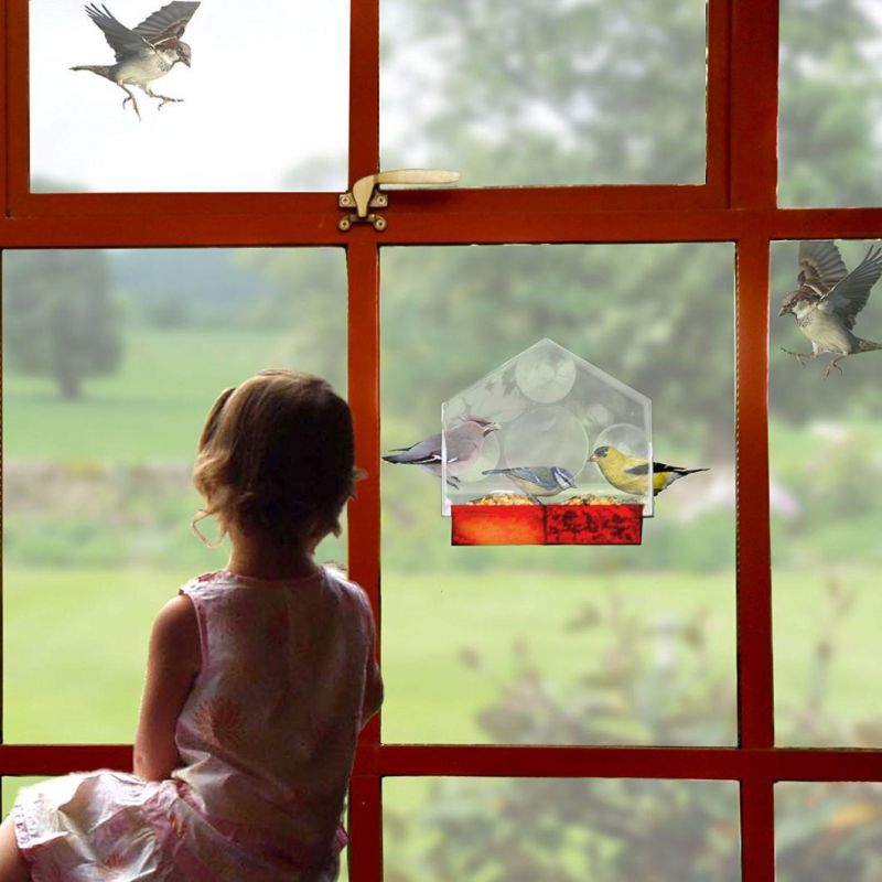 Hot Sale House Acrylic Bird Feeder with Suction Cups