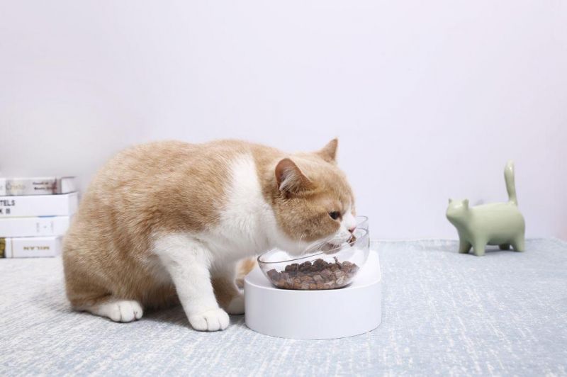 Fresh Nano Double Cat&Dog Bowl with The Raised Stand