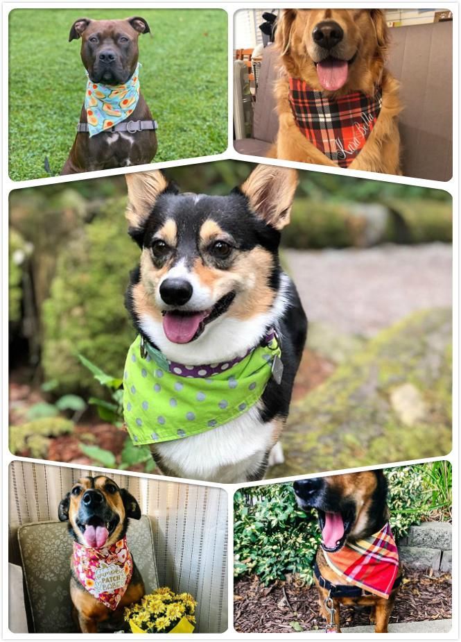 High Quality Cute Cool Soft Breathable Sublimated Customized Extra Large Triangle Dog Bandana with Collar Matching Pet Owner