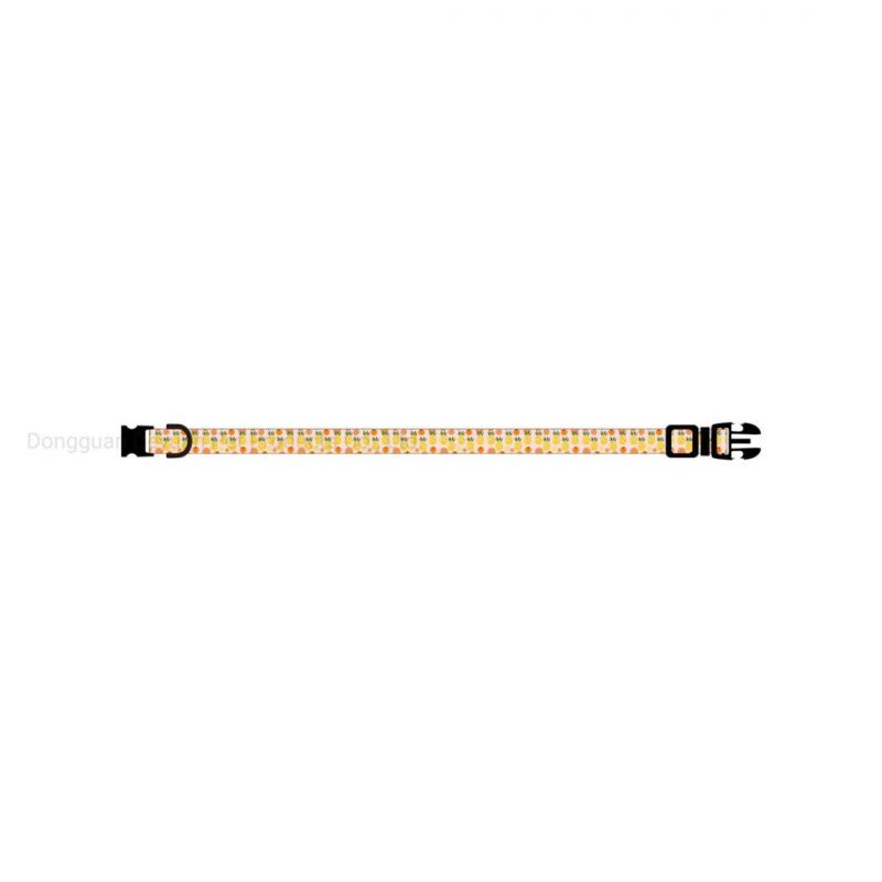 New Summer Fruit Series Pet Collar, Orange Collar