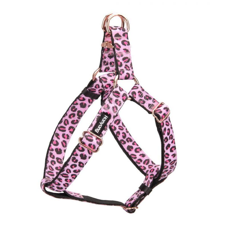 Amazon Pawz Road Leopard Pet Leash Collar Harness Set