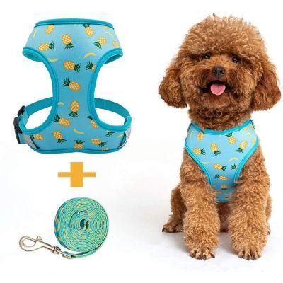 Personalized Pet Accessories Print Reflective Reversible Quick Release Padded Polyester Pattern Dog Harness Set