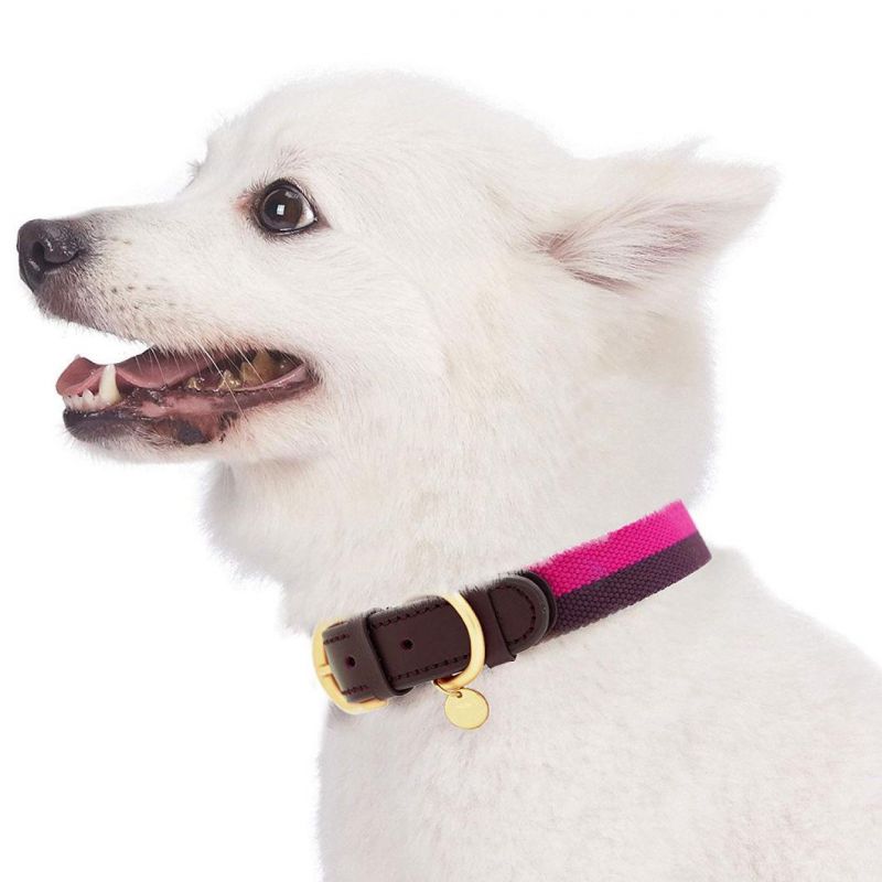 8 Colors Polyester Fabric Soft Genuine Leather Webbing 3/4" Wide Dog Collar in Pink Grey, Small, Neck 12"-15", Adjustable Collars Dogs