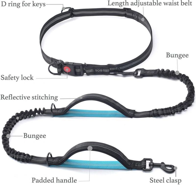Hands Free Dog Leash with Dual Padded Handles and Durable Bungee