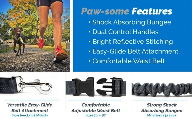 Reflective Stitching Dog Leash for Running, Hiking, Walking