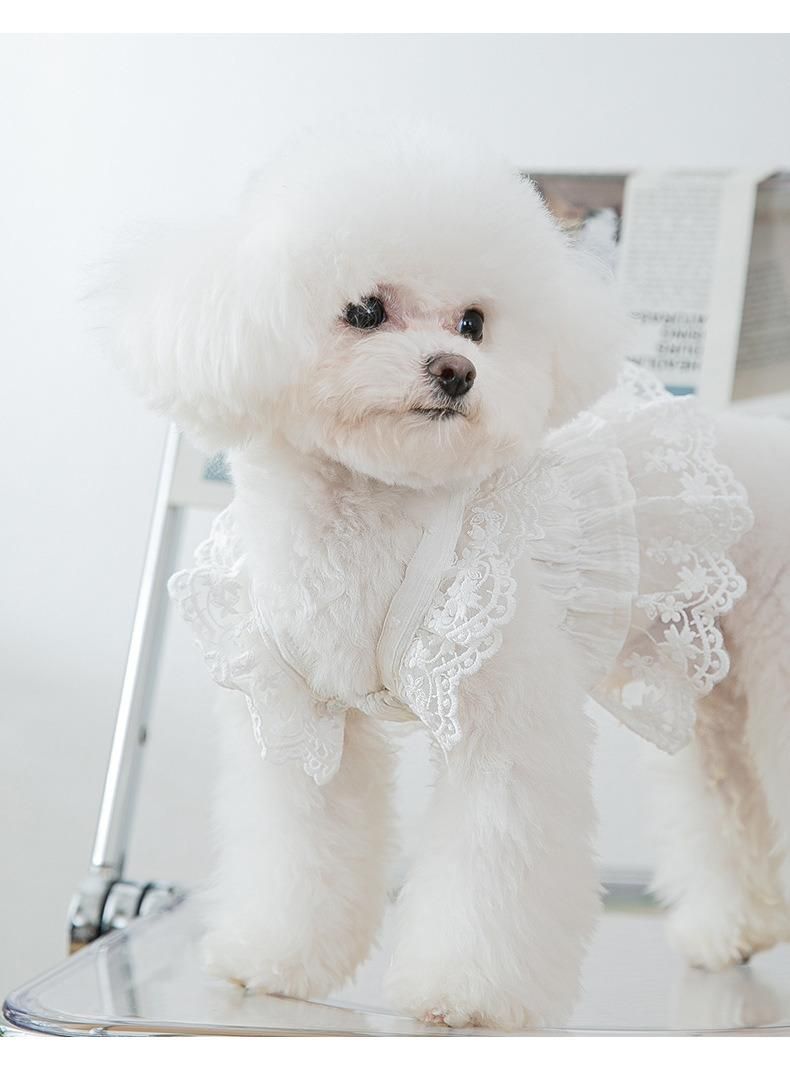 New Fashion Spring Summer Puppy Dog Lace Princess Skirt Breathable Chiffon Cat Suspender Skirt Small Dog Pet Clothes