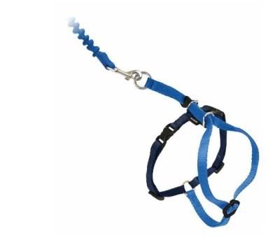 High Quality Bungee Puppy Leash