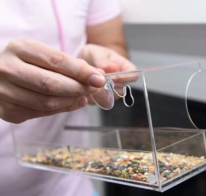 Window Bird Feeder with Strong Suction Cups and Seed Tray