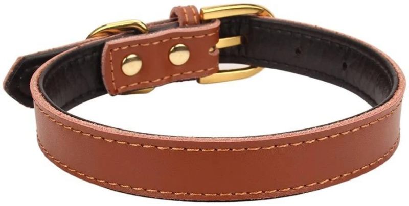 Amazon Hot Sell Basic Classic Padded Leather Pet Collars