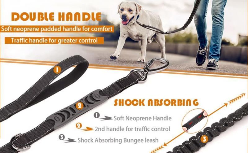 Heavy Duty Dog Leash Especially for Large Dogs up to 150lbs