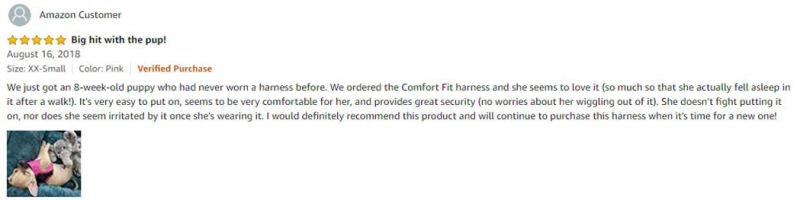 Lightweight Comfort Control Escape-Proof Dog Harness