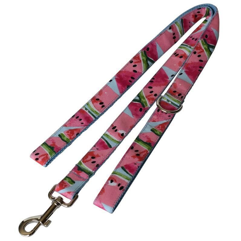 Dog Collar Pet Funny Adjustable Collars with Cute Leash for Small Medium Large Dogs Cats Collars Set