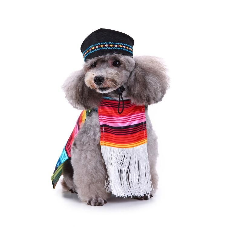 Amazon Hot Sale Luxury Funny Halloween Pet Dog Cat Cospaly Costume