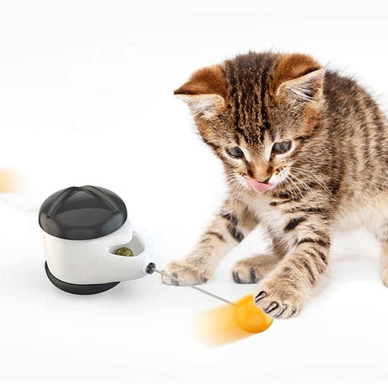 Interactive Cat Toys Cat Swing Toy