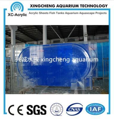 Customized Clear Acrylic Aquarium Fish Tank Project