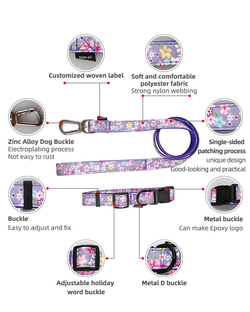 Custom Brand Name Outdoor Dog Collar Classic Type Pet Collars for Dogs and Cats with Leash