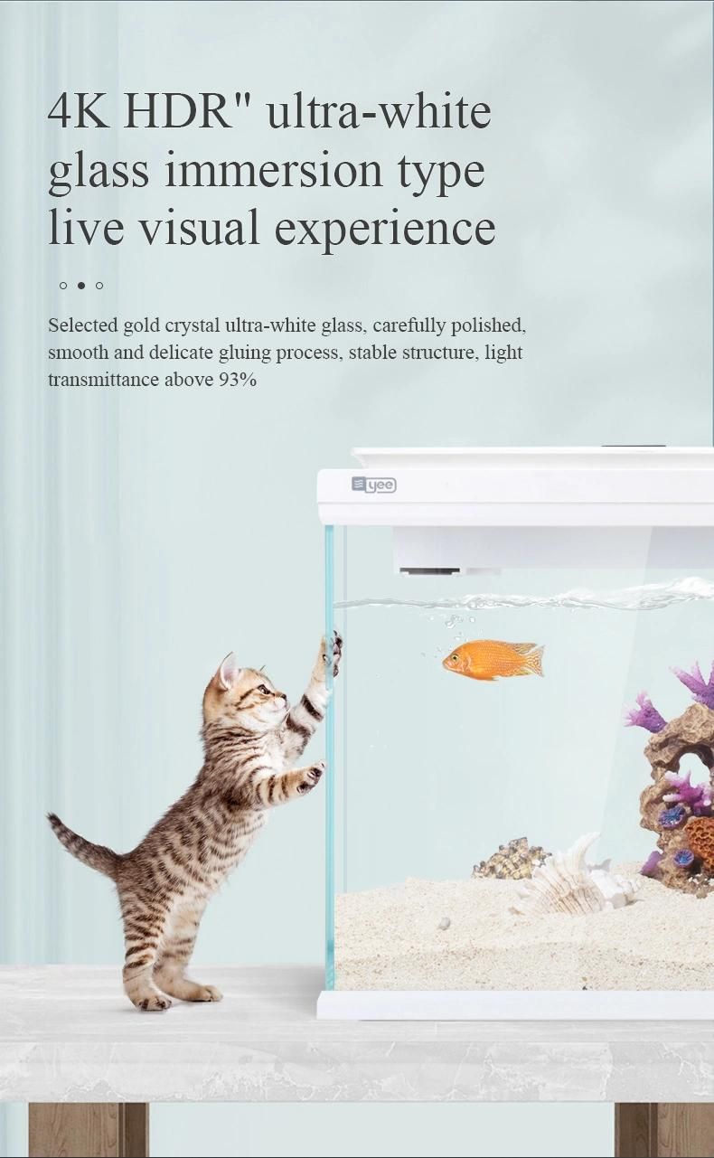 Aquarium Notebook Desktop Fish Tank with LED Light