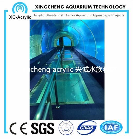 Customized Acrylic Tunnel Aquarium