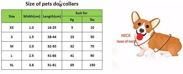 Floral Lace Dog Collar Matching Leash & Collar Formal Wedding Dog Collar Elegant Lace Collar and Leash Set