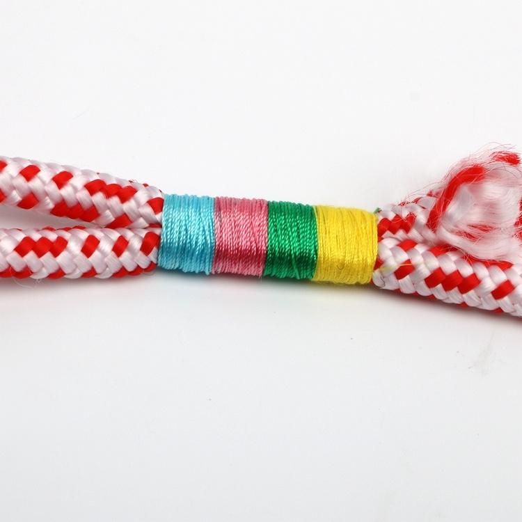 Heavy Duty Rope Braided Nylon Rope Slip Lead Dog Leashes