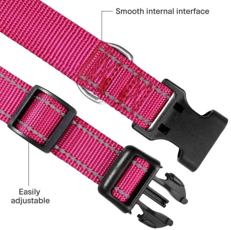 Reflective Nylon Dog Collar with Matching Leash