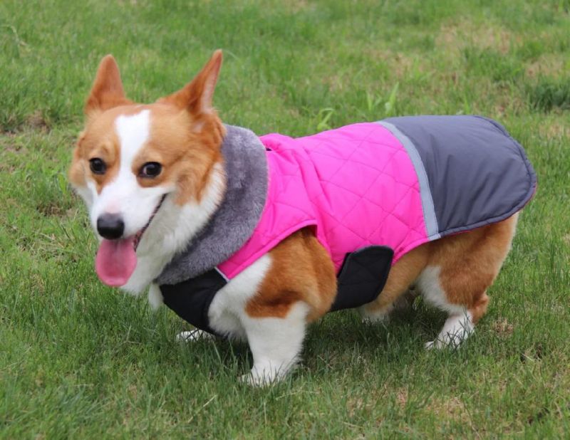 Autumn Winter Big Fur Collar Dog Clothes New Double-Sided Dog Clothes Can Be Worn Waterproof Cotton Clothes