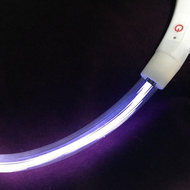 LED Animals Dog-E-Glow Dogs Gifts Pets