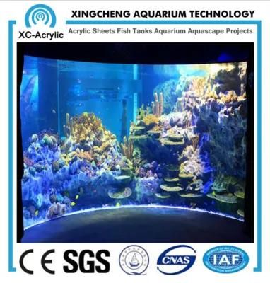 Transparent Customized Viewing Acrylic Panel Aquarium