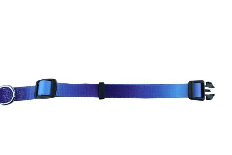 Wholesale Colored Sublimation Dog Collar Custom Design Can Be Adjustable