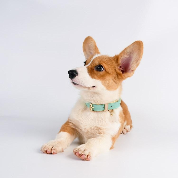 Pet Supply Designers Personalized Luxury Braided Real Cow Wide Vegan Leather Dog Collar and Leash Set