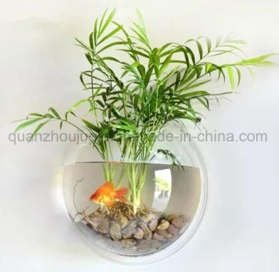 Custom Wall Mounted Acrylic Fish Tank for Home Decoration