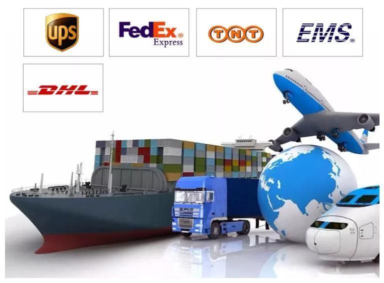 China Cat Litter Factory Pet Supplies OEM and ODM Litter