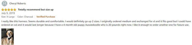 No Pull, Step in Adjustable Dog Harness Breathable Mesh Dog Vest for Small Medium